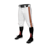 4827 MENS BASEBALL KNICKER PANT RATTLERS-2