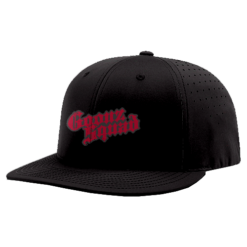 4826 R_P FLEX FIT CAP PTS30 GOONZSQUAD-1