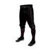 4826 MENS BASEBALL KNICKER PANT GOONZSQUAD-2