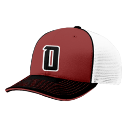 4824 R_P FLEX FIT CAP 172 OUTLAWS-HATS