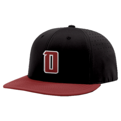 4824 R_P FLEX FIT CAP PTS30 OUTLAWS-HATS