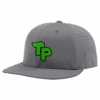 4841 R_P FLEX FIT CAP PTS30 TURTLE-POWER-1