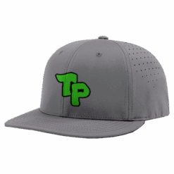 4841 R_P FLEX FIT CAP PTS30 TURTLE-POWER-1