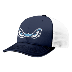 4031 R_P FLEX FIT CAP 172 BEAST-ADD