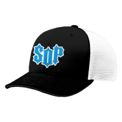 4829 R_P FLEX FIT CAP 172 SONS-OF-PITCHES-1