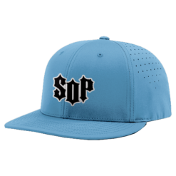 4829 R_P FLEX FIT CAP PTS30 SONS-OF-PITCHES-1