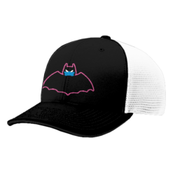 4831 R_P FLEX FIT CAP 172 MIGHTY-DUCKS-1