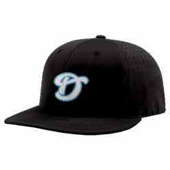 4843 R_P FLEX FIT CAP PTS30 THE-DIRTBAGS-1