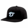 4843 R_P FLEX FIT CAP PTS30 THE-DIRTBAGS-1
