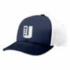 4842 R_P FLEX FIT CAP 172 THE-UNDERDOGS-1