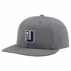 4842 R_P FLEX FIT CAP PTS30 THE-UNDERDOGS-1