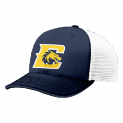 4845 R_P FLEX FIT CAP 172 CAMERON-DRAGONS-2