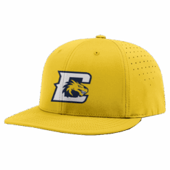 4845 R_P FLEX FIT CAP PTS30 CAMERON-DRAGONS-2