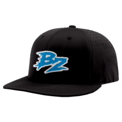 4821 R_P FLEX FIT CAP PTS30