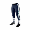 3142 WOMENS FASTPITCH PANTS WATER-BEARS-1