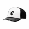 4853 R_P FLEX FIT CAP 172 CHICKADEES-1