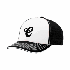 4853 R_P FLEX FIT CAP 172 CHICKADEES-1