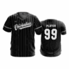 4853 MENS SPORT V NECK CHICKADEES-2