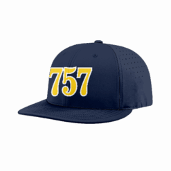 4848 R_P FLEX FIT CAP PTS30 POST-757-1