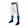 4847 MENS BASEBALL KNICKER PANT LIT-CITY-2