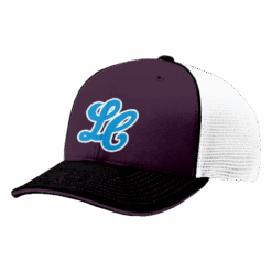 4847 R_P FLEX FIT CAP 172 STAY-LIT-1