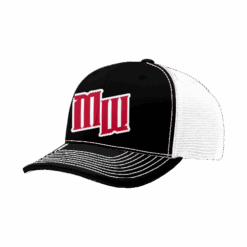 3463 R_P FLEX FIT CAP 172 MOST-WANTED-1
