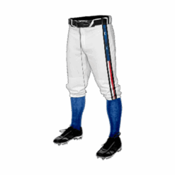 4862 MENS BASEBALL KNICKER PANT DOWNRIGHT-NASTY-1