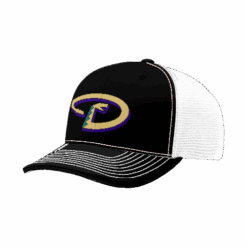3879 R_P FLEX FIT CAP 172 DROPPIN-BOMBS-1