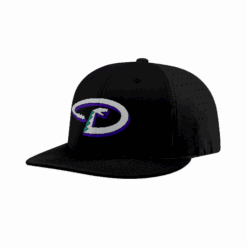 3879 R_P FLEX FIT CAP PTS30 DROPPIN-BOMBS-1
