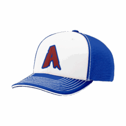4866 R_P FLEX FIT CAP 172 ARASHI-1