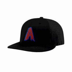 4866 R_P FLEX FIT CAP PTS30 ARASHI-1