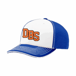 3691 R_P FLEX FIT CAP 172 DEATH-BY-SLIDING-1