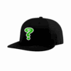 4870 R_P FLEX FIT CAP PTS30 ENIGMA-MINDS-1