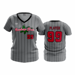 3303 WOMENS V NECK BUCKEYE-ELITE-2