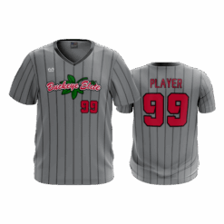 3303 MENS SPORT V NECK BUCKEYE-ELITE-2
