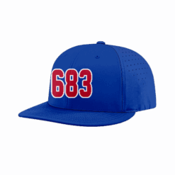 2535 R_P FLEX FIT CAP PTS30 ELECTROCUTIONERS-1