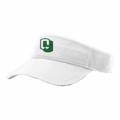 4877 RICHARDSON R160 VISOR OHIO-STORM-2