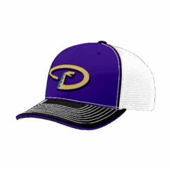 3879 R_P FLEX FIT CAP 172 D-BOMBS-1
