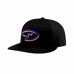 3879 R_P FLEX FIT CAP PTS30 D-BOMBS-1