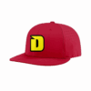 4881 R_P FLEX FIT CAP PTS30 DIRTBAGS