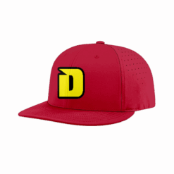 4881 R_P FLEX FIT CAP PTS30 DIRTBAGS