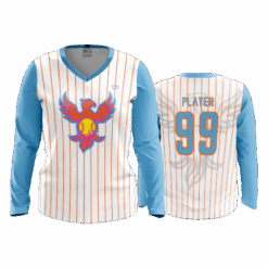 4880 WOMENS V NECK LONGSLEEVE LADY-PHOENIX-SPIRIT-2