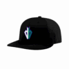 3879 R_P FLEX FIT CAP PTS30 DROPPIN-BOMBS-1