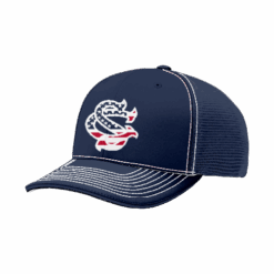 3874 R_P FLEX FIT CAP PTS30 COLUMBUS-SHARKS-1