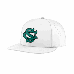 3874 R_P FLEX FIT CAP PTS30 COLUMBUS-SHARKS-2