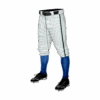 3874 MENS BASEBALL KNICKER PANT COLUMBUS-SHARKS-2