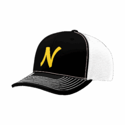 4884 R_P FLEX FIT CAP 172 NOTORIOUS-1