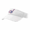 3983 RICHARDSON R160 VISOR WARHAWKS-DOUBLE-PIN-2