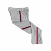 4888 MENS BALLPARK GRAY BRAID PANTS OG-FIREDAWGS-2