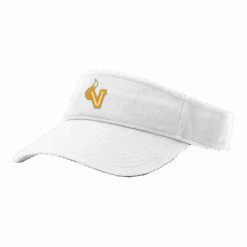 4897 RICHARDSON R160 VISOR FOX-HEAD-VALOR-2